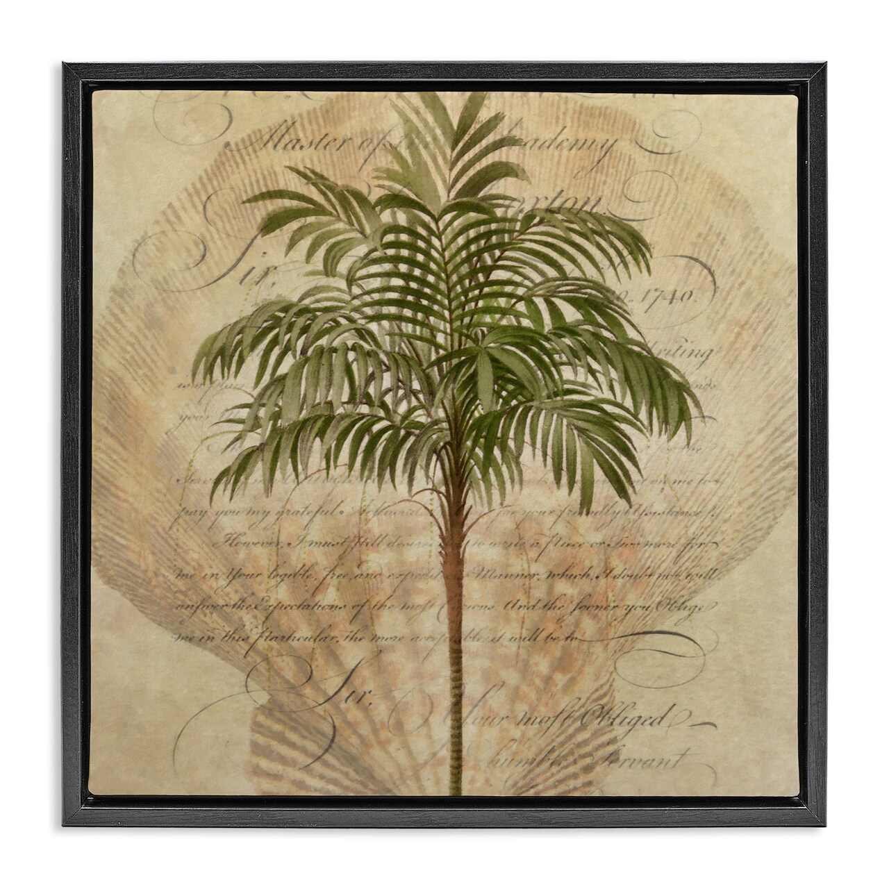 Stupell Industries Subdued Tropics Palm Floating Frame, design by Steve Hunziker